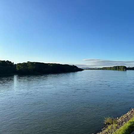 Rheinterrassen Cafe Restaurant Hotel 3*