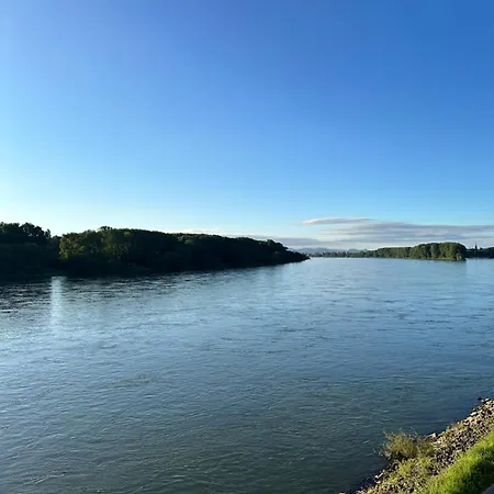 Rheinterrassen Cafe Restaurant Hotel