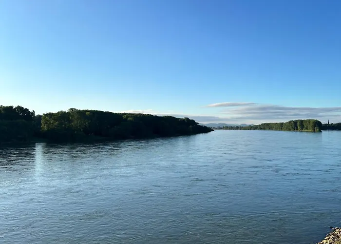 Rheinterrassen Cafe Restaurant فندق