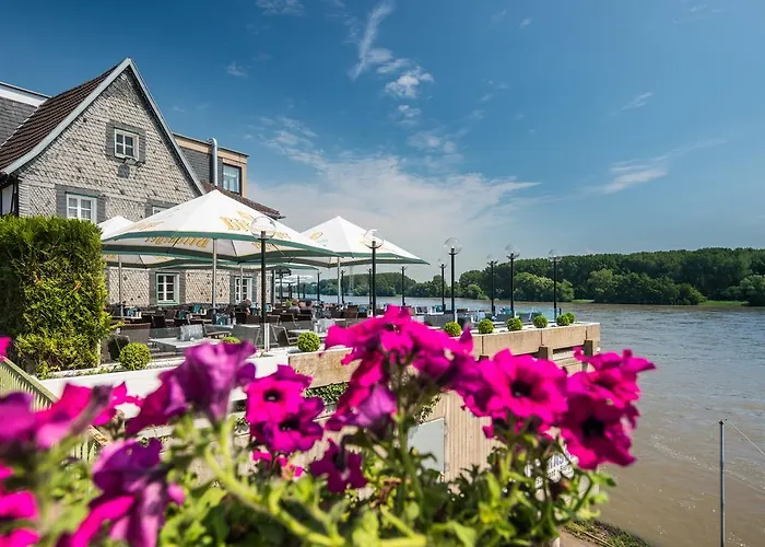 ホテル Rheinterrassen Cafe Restaurant