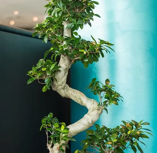 Rheinterrassen Cafe Restaurant فيدِش